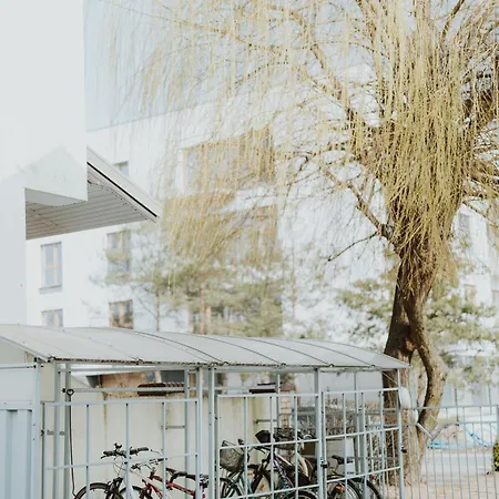 Auberge de jeunesse Leo *