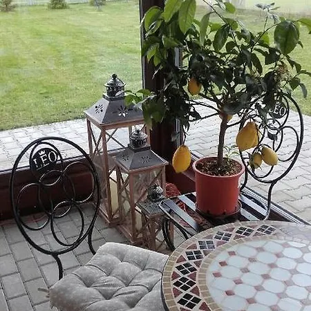 Leo Auberge de jeunesse Poznań