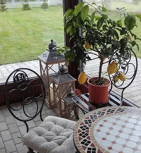 Leo Vandrarhem Poznań